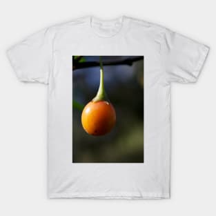 Kangaroo Apple T-Shirt